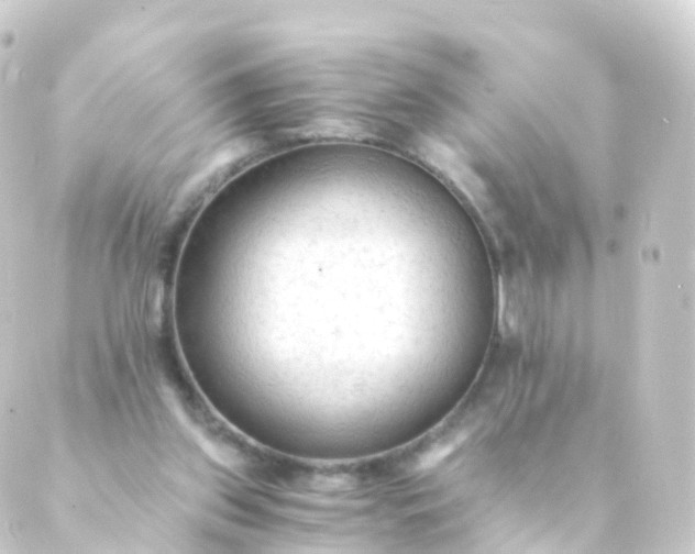 X0000088910157200706221938