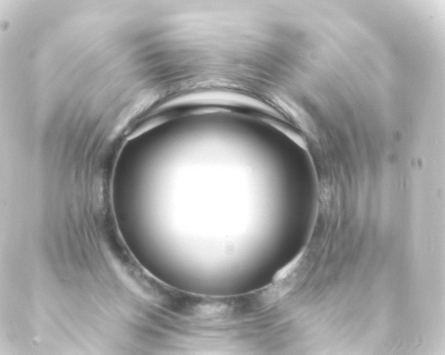 X0000088910158200706221938