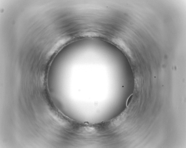 X0000088910159200706221938