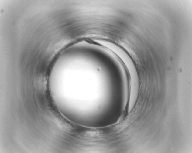 X0000088910160200706221938