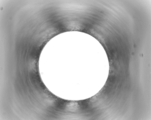 X0000088910162200706221938