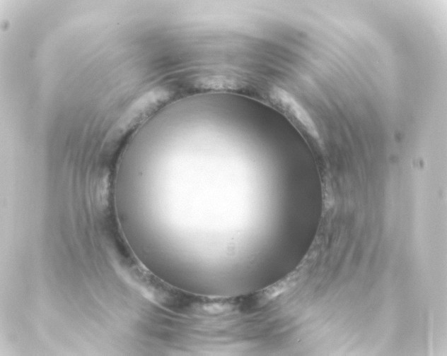 X0000088910163200706221938