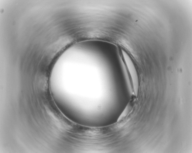 X0000088910164200706221938