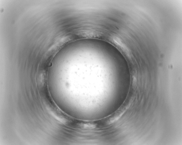 X0000088910165200706221938