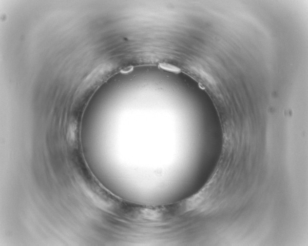 X0000088910166200706221938