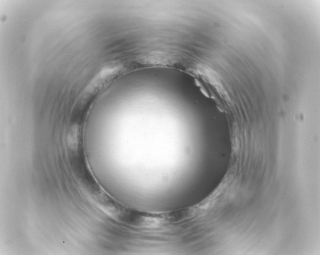 X0000088910167200706221938