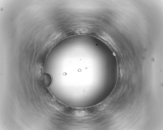 X0000088910169200706221938