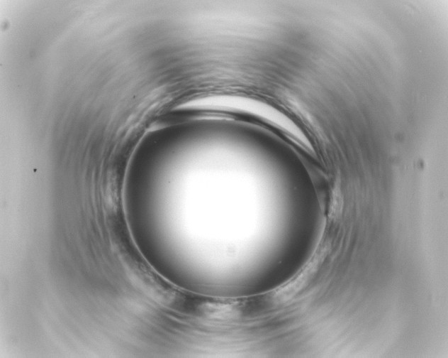 X0000088910170200706221938