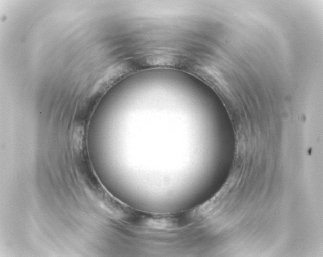 X0000088910171200706221938