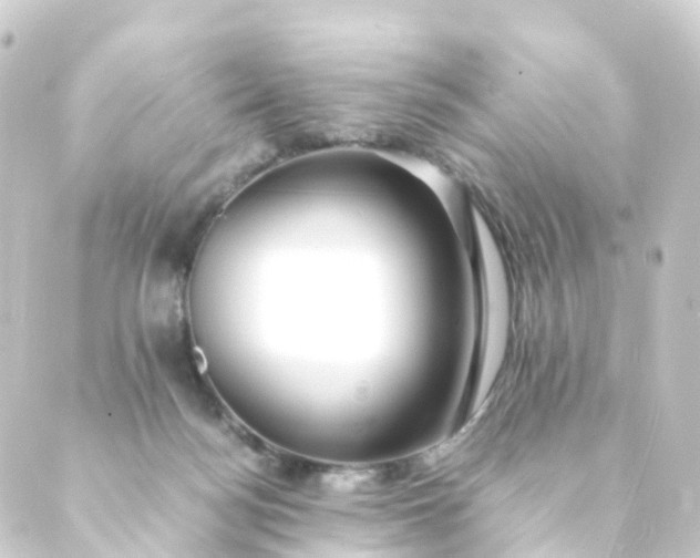 X0000088910172200706221938