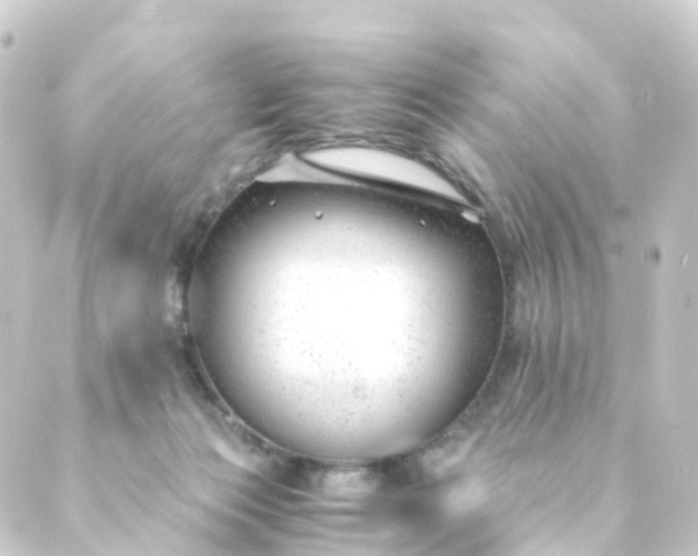 X0000088910173200706221938