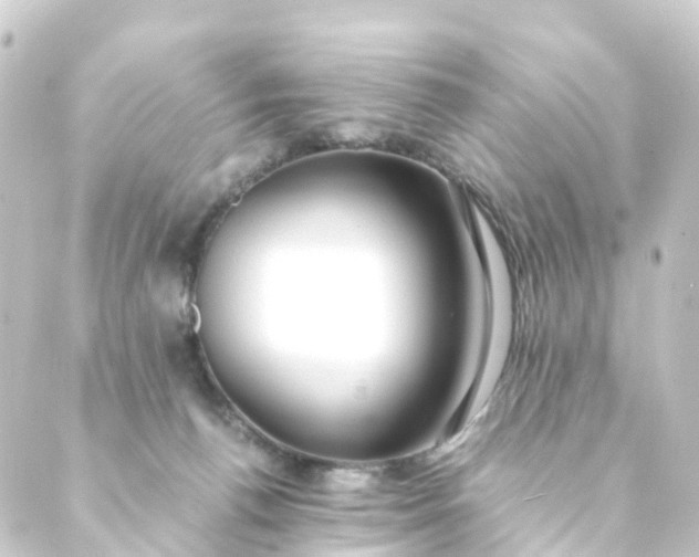 X0000088910176200706221938