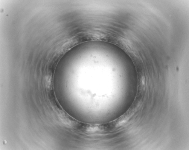 X0000088910177200706221938