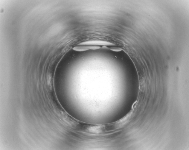 X0000088910178200706221938