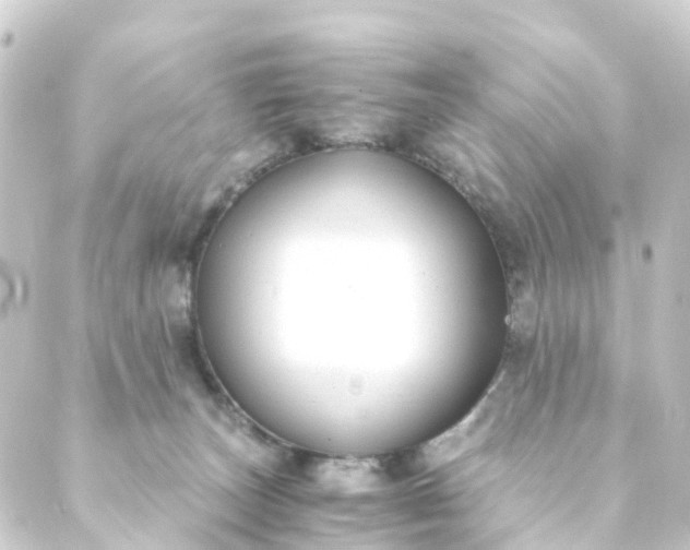 X0000088910179200706221938