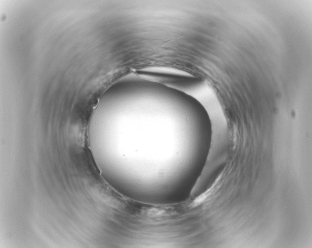 X0000088910180200706221938