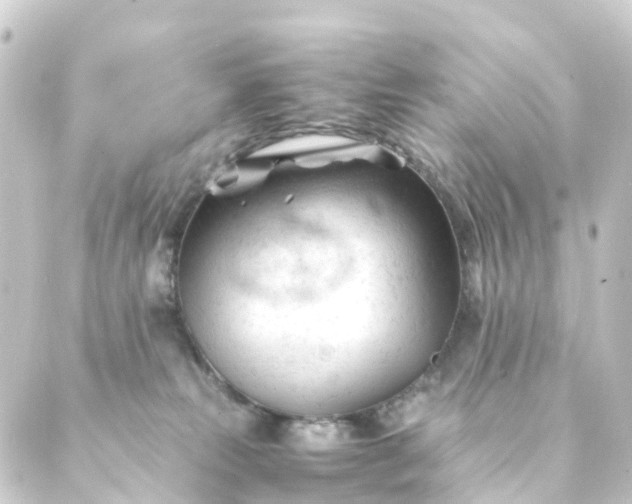 X0000088910181200706221938