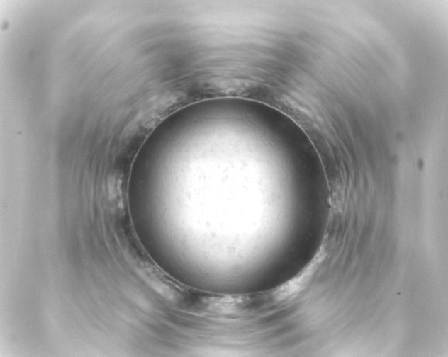 X0000088910182200706221938