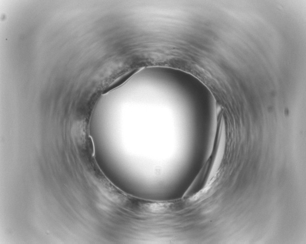 X0000088910184200706221938