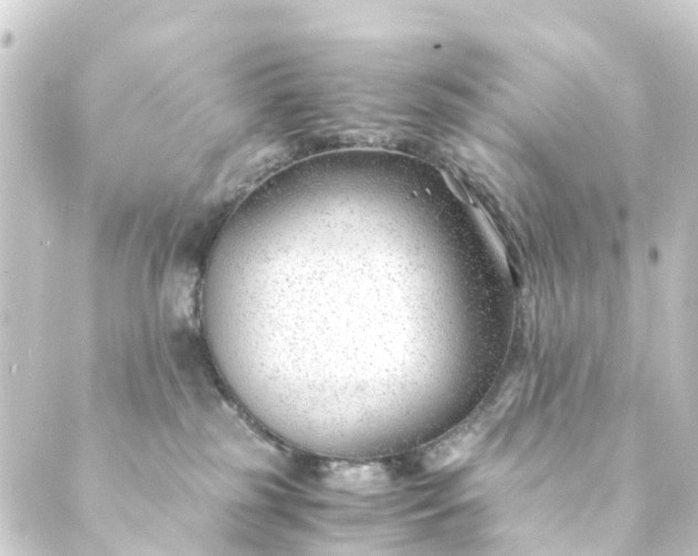 X0000088910185200706221938