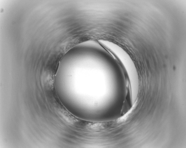 X0000088910186200706221938