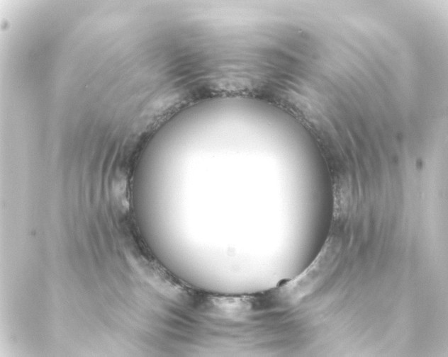 X0000088910187200706221939