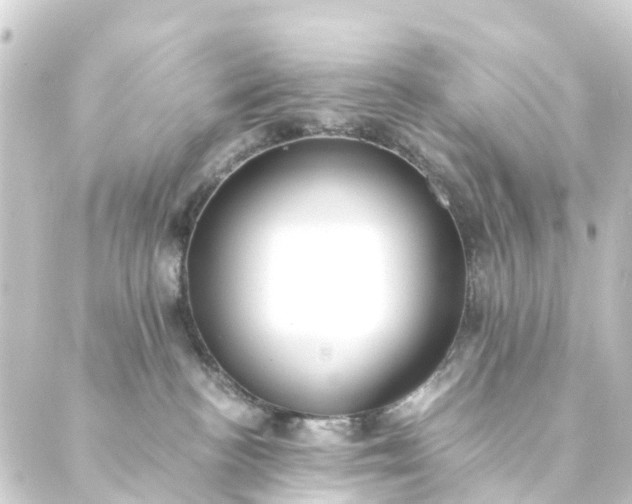 X0000088910188200706221939