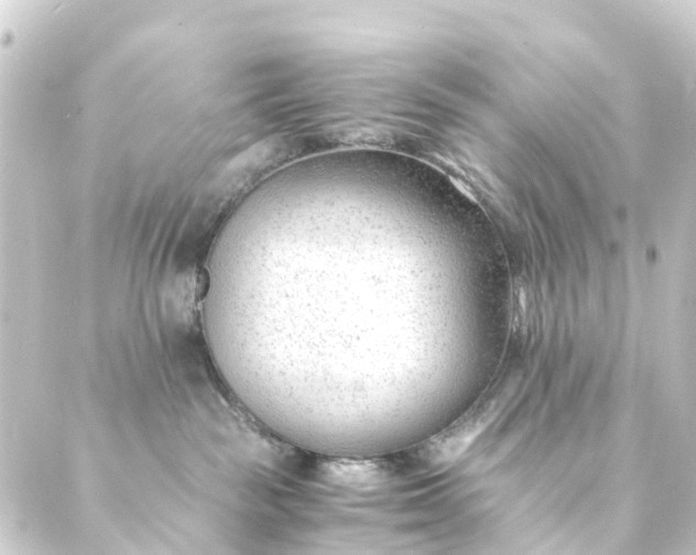 X0000088910189200706221939