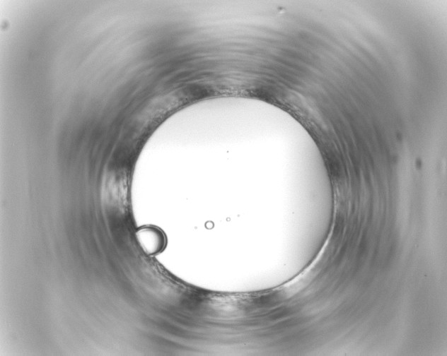 X0000088910190200706221939