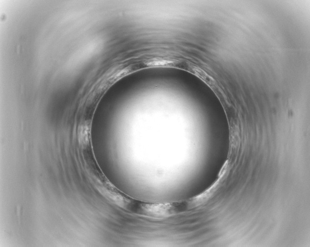 X0000088910191200706221939