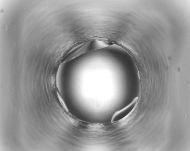 X0000088910192200706221939