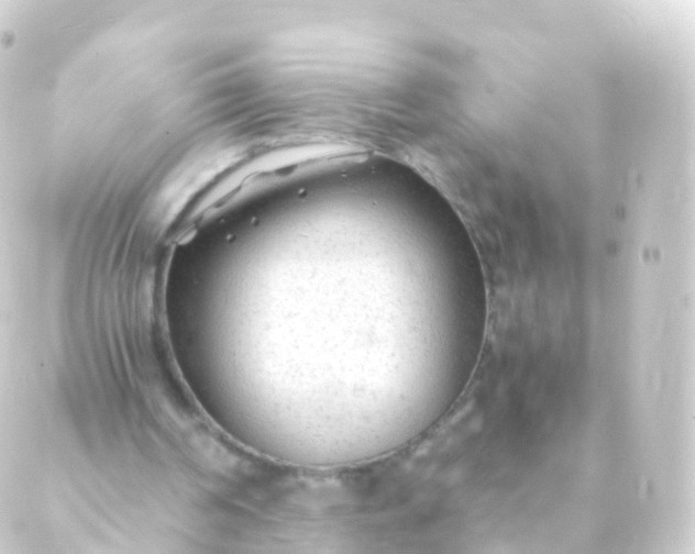 X0000088910194200706221938