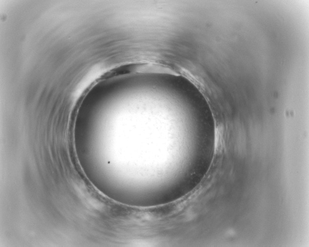 X0000088910195200706221938