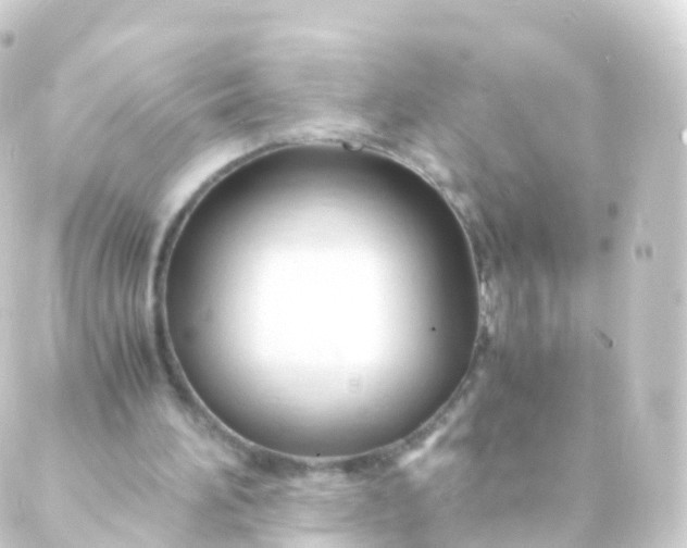 X0000088910196200706221938