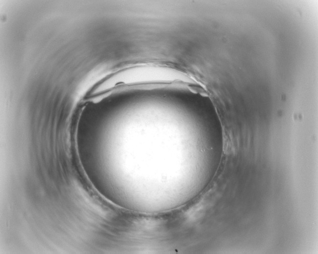 X0000088910198200706221938