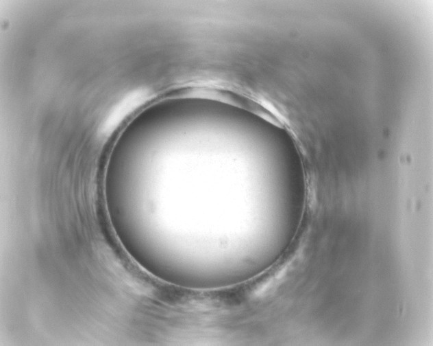 X0000088910199200706221938