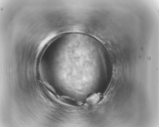 X0000088910200200706221938