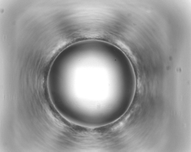 X0000088910201200706221938