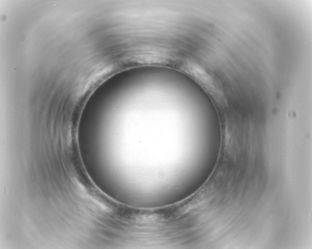 X0000088910202200706221938