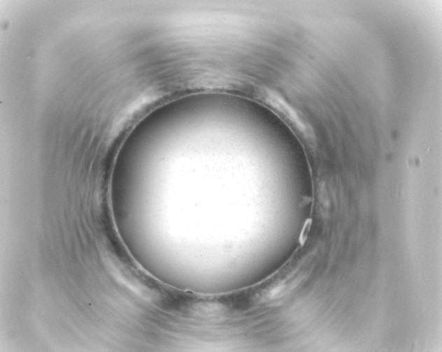 X0000088910203200706221938