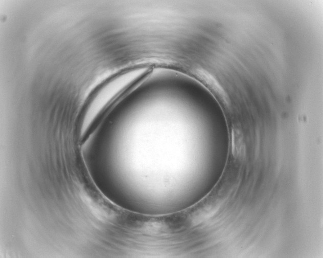 X0000088910204200706221938