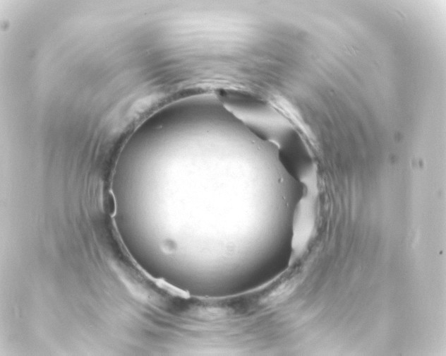 X0000088910205200706221938