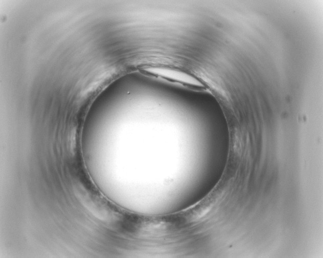 X0000088910206200706221938