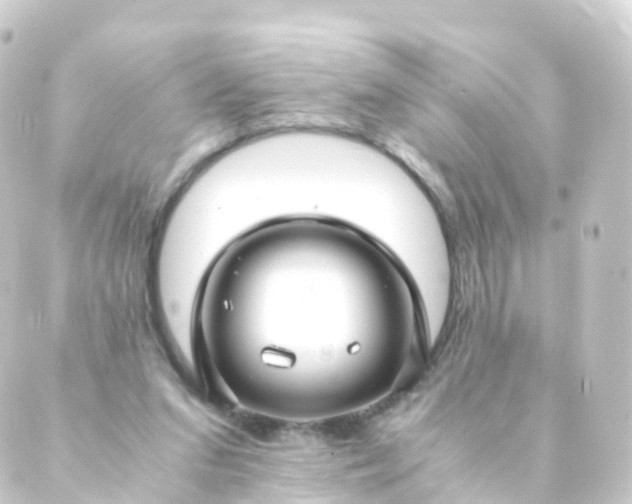 X0000088910207200706221938