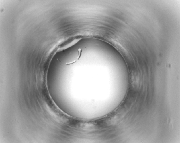 X0000088910208200706221938