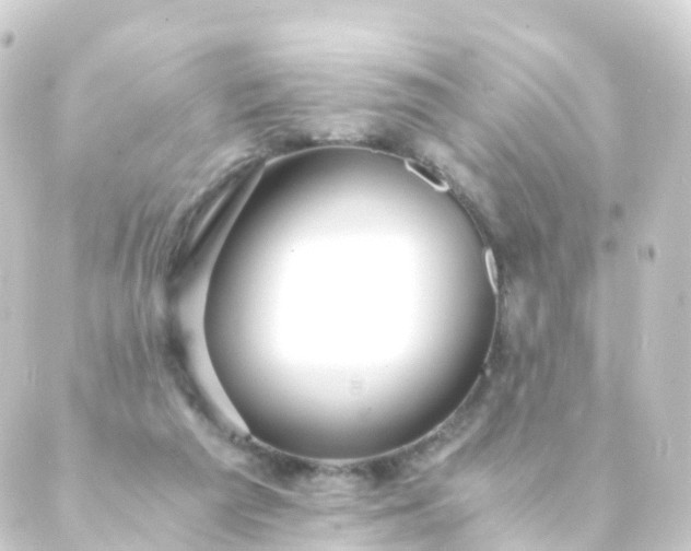 X0000088910209200706221938