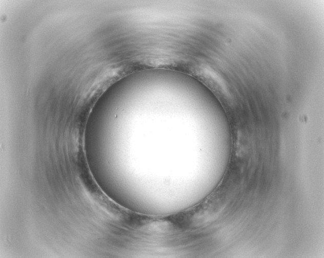 X0000088910210200706221938