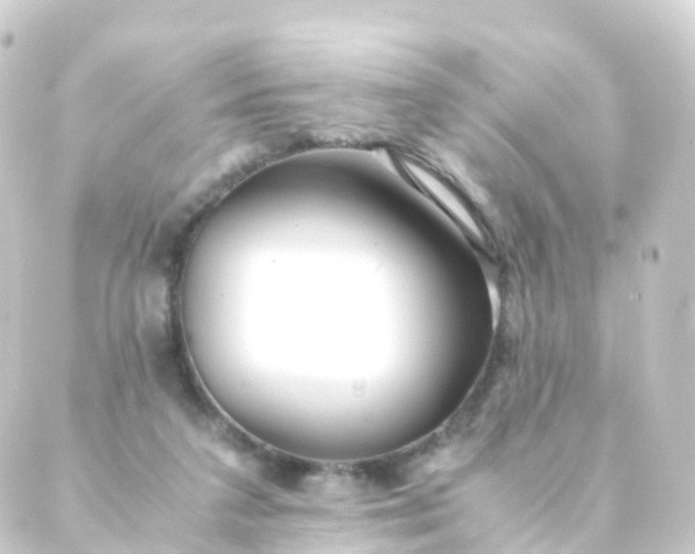 X0000088910211200706221938