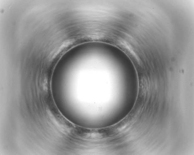 X0000088910212200706221937