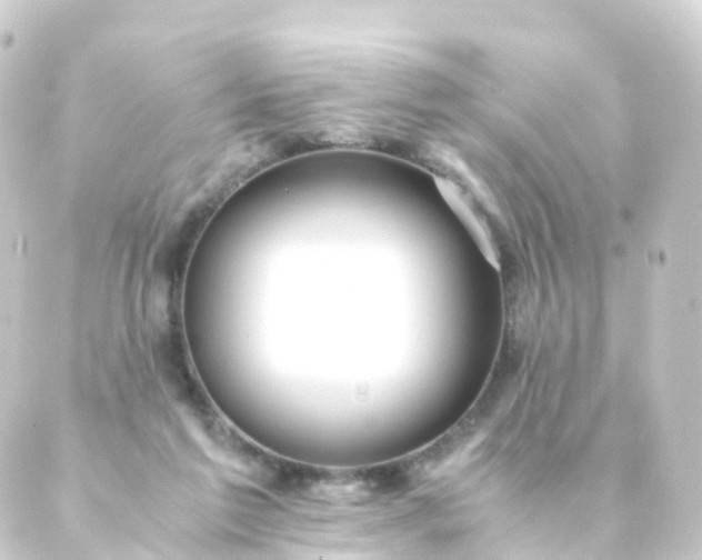 X0000088910213200706221937